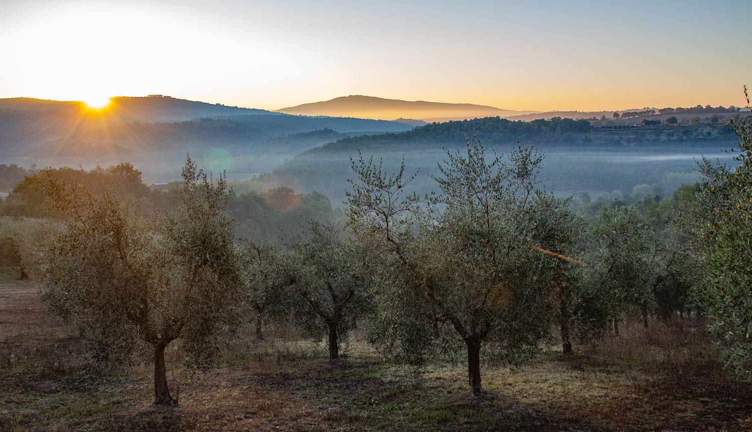 Umbrian landscape, Italy