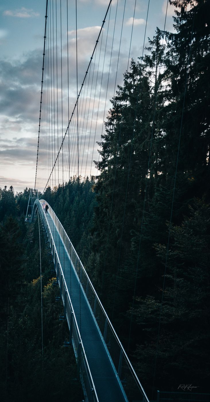Wildline Bridge, Germany