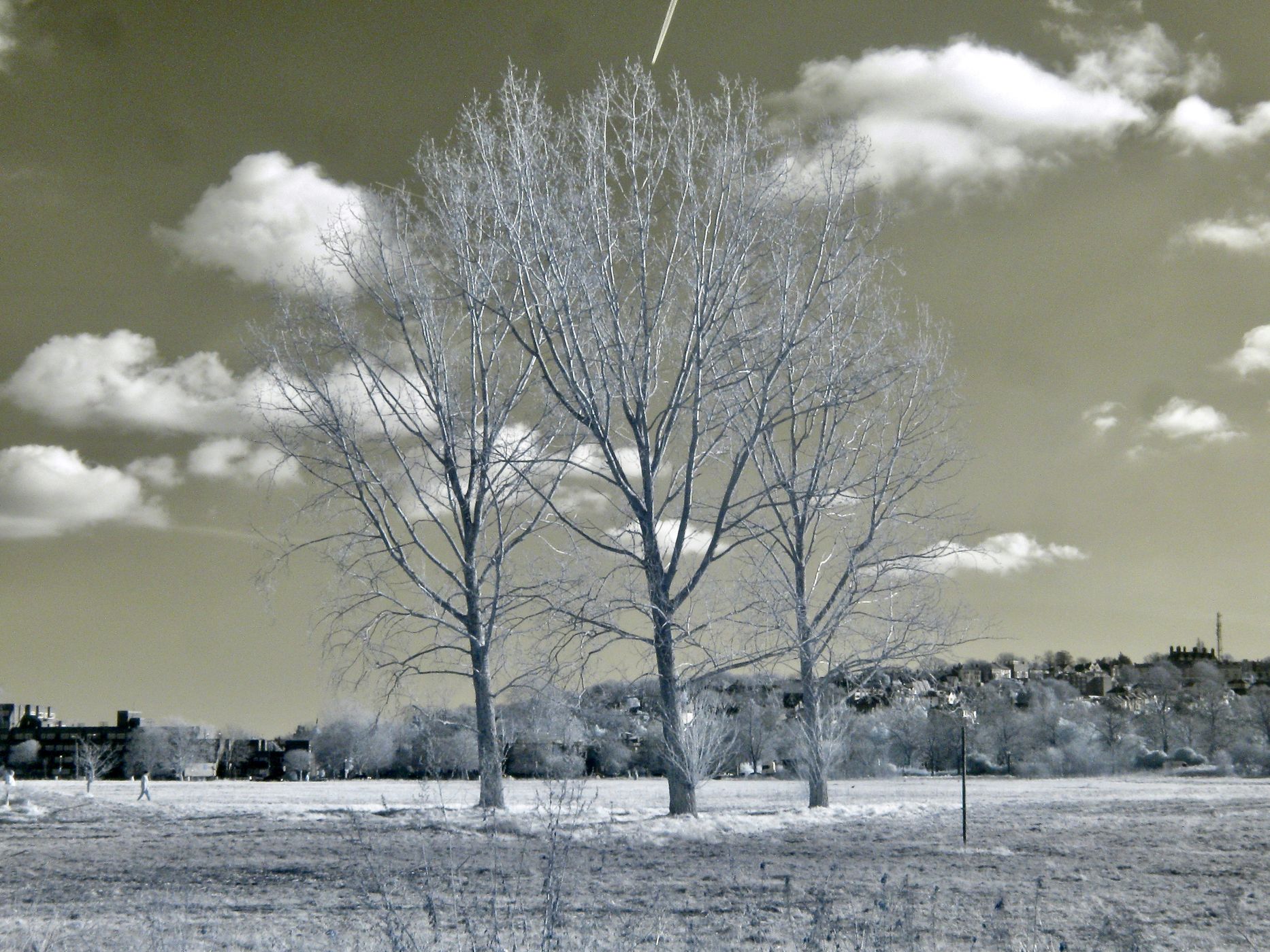 Woolwich Common, SE London, United Kingdom
