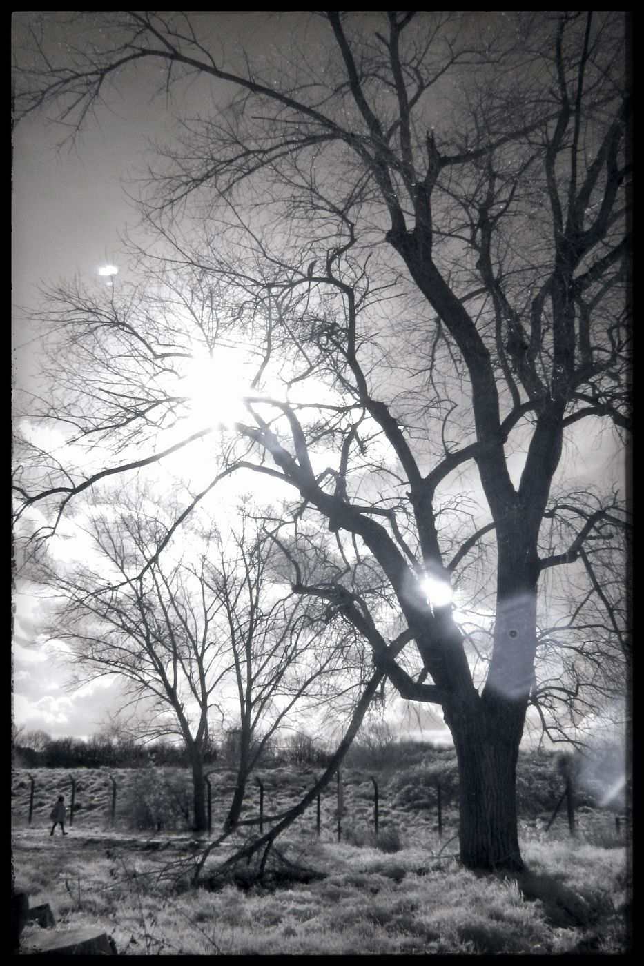 Woolwich Common, SE London, United Kingdom