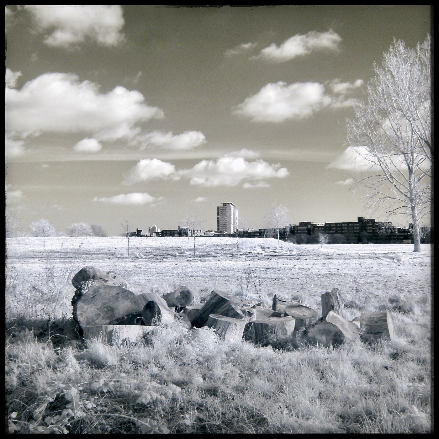 Woolwich Common, SE London, United Kingdom