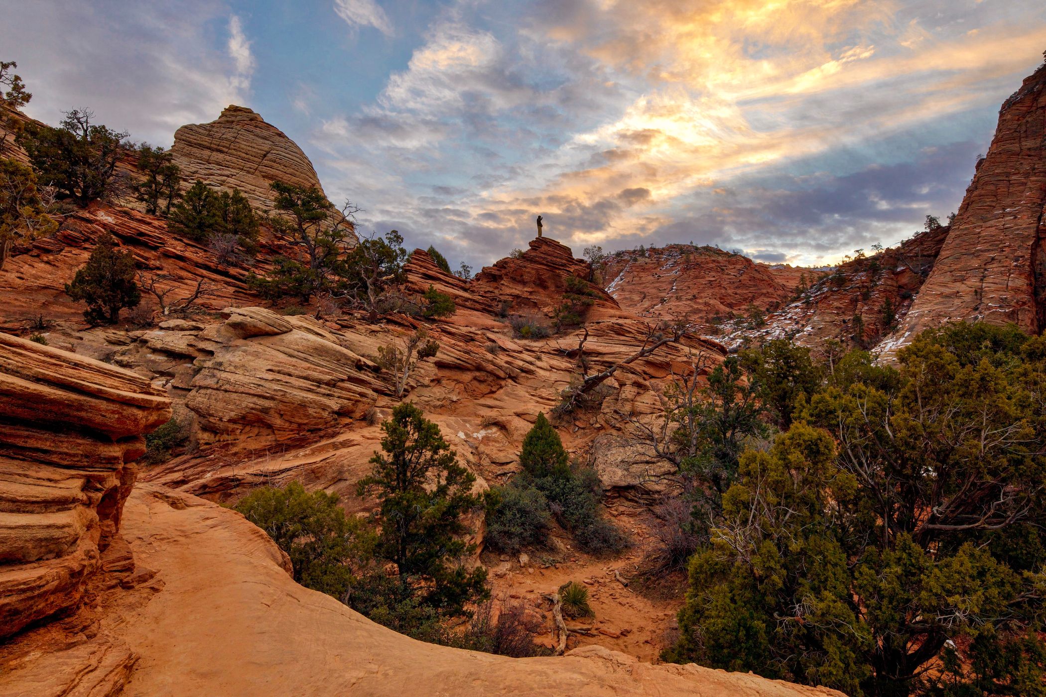 Canyon Overlook, Zion National Park, USA