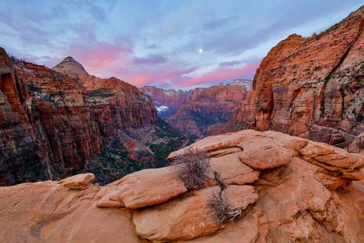 Canyon Overlook, Zion National Park