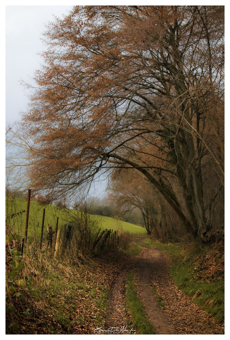 Bertembos, Belgium