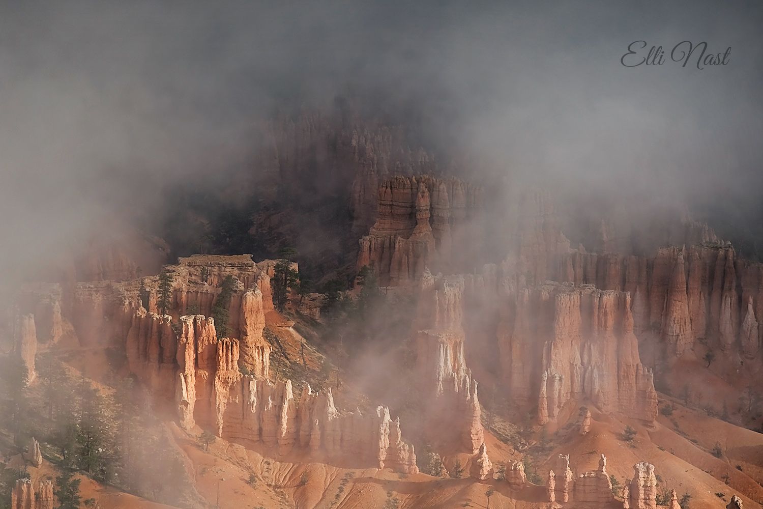 Bryce Point, Bryce Canyon National Park, USA