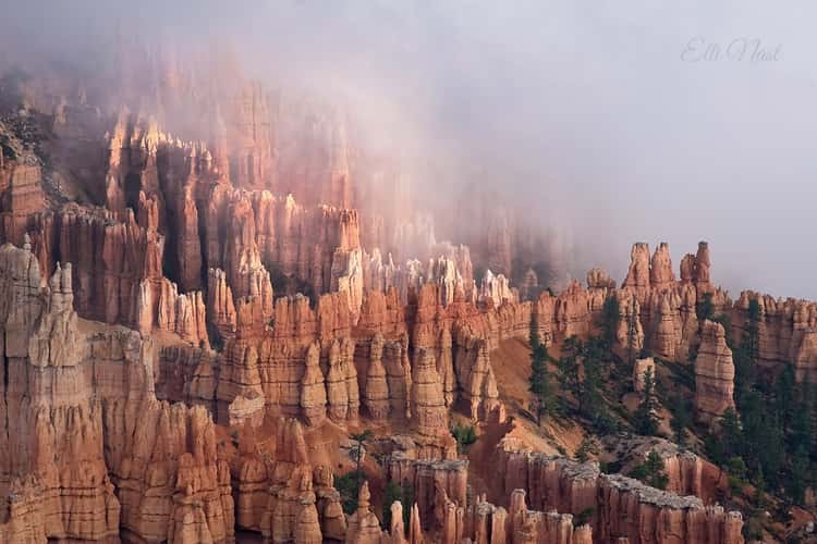 Bryce Point, Bryce Canyon National Park