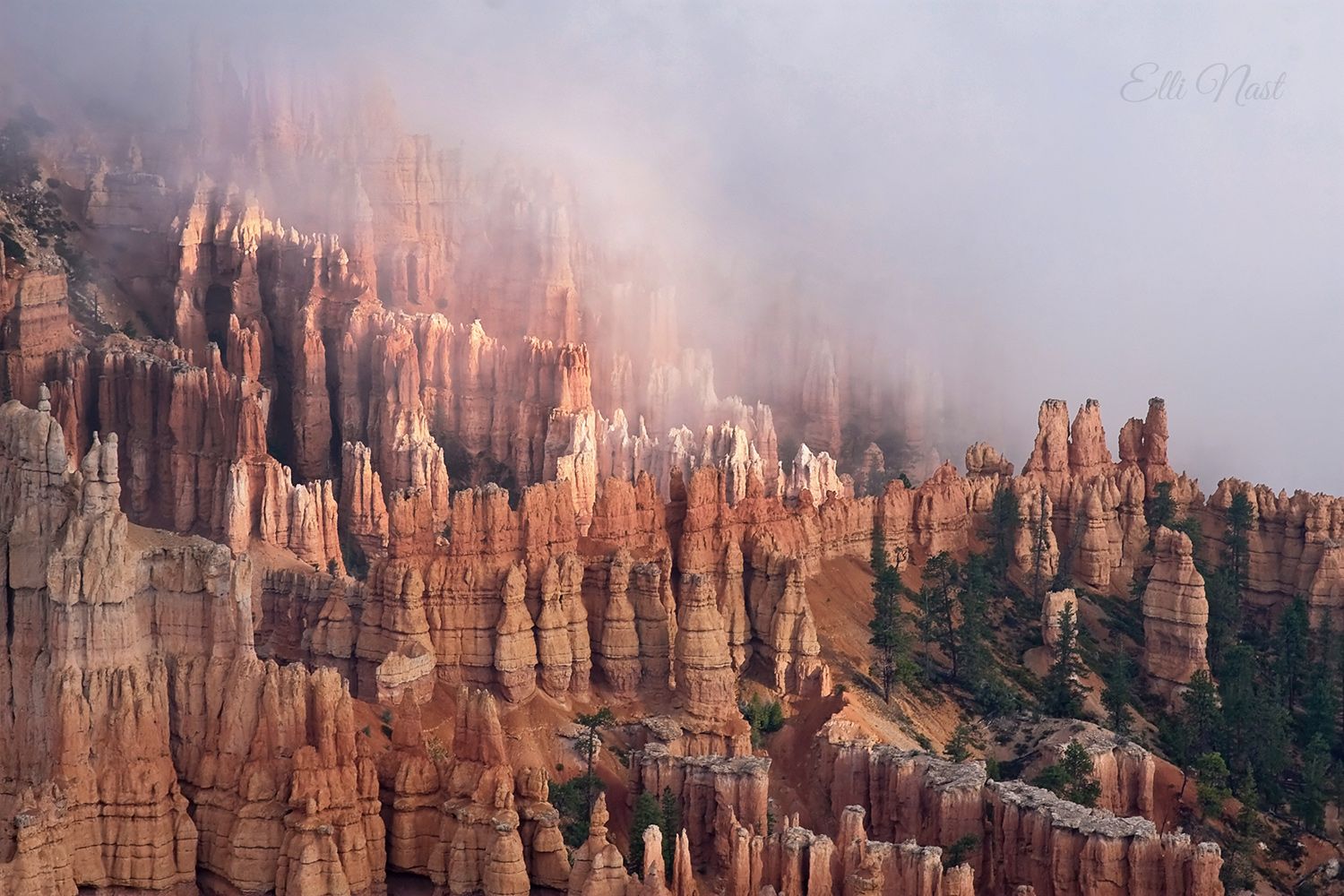 Bryce Point, Bryce Canyon National Park, USA