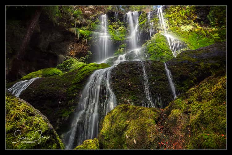 Champagne Falls, Tasmania