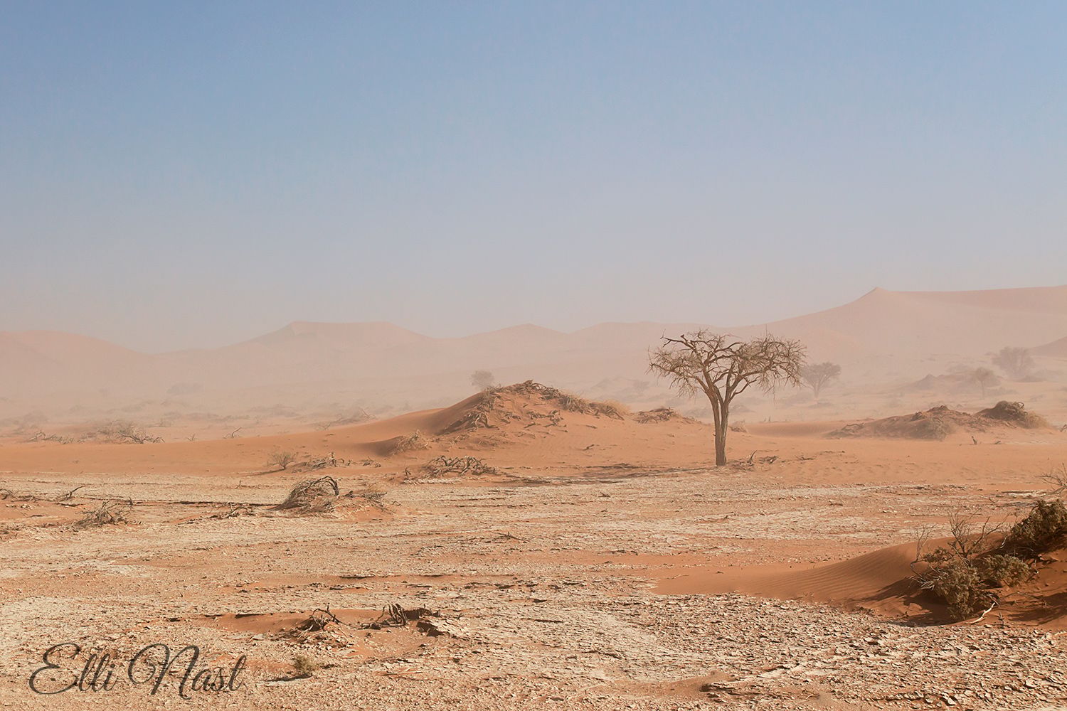 Chesna Pan, Namibia