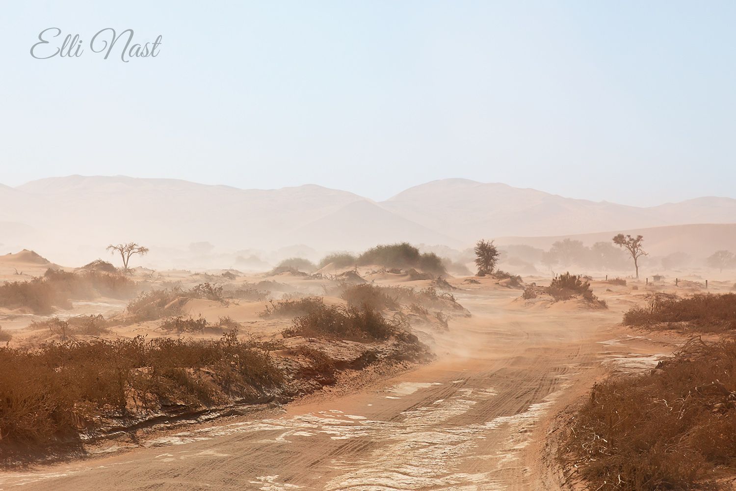 Chesna Pan, Namibia