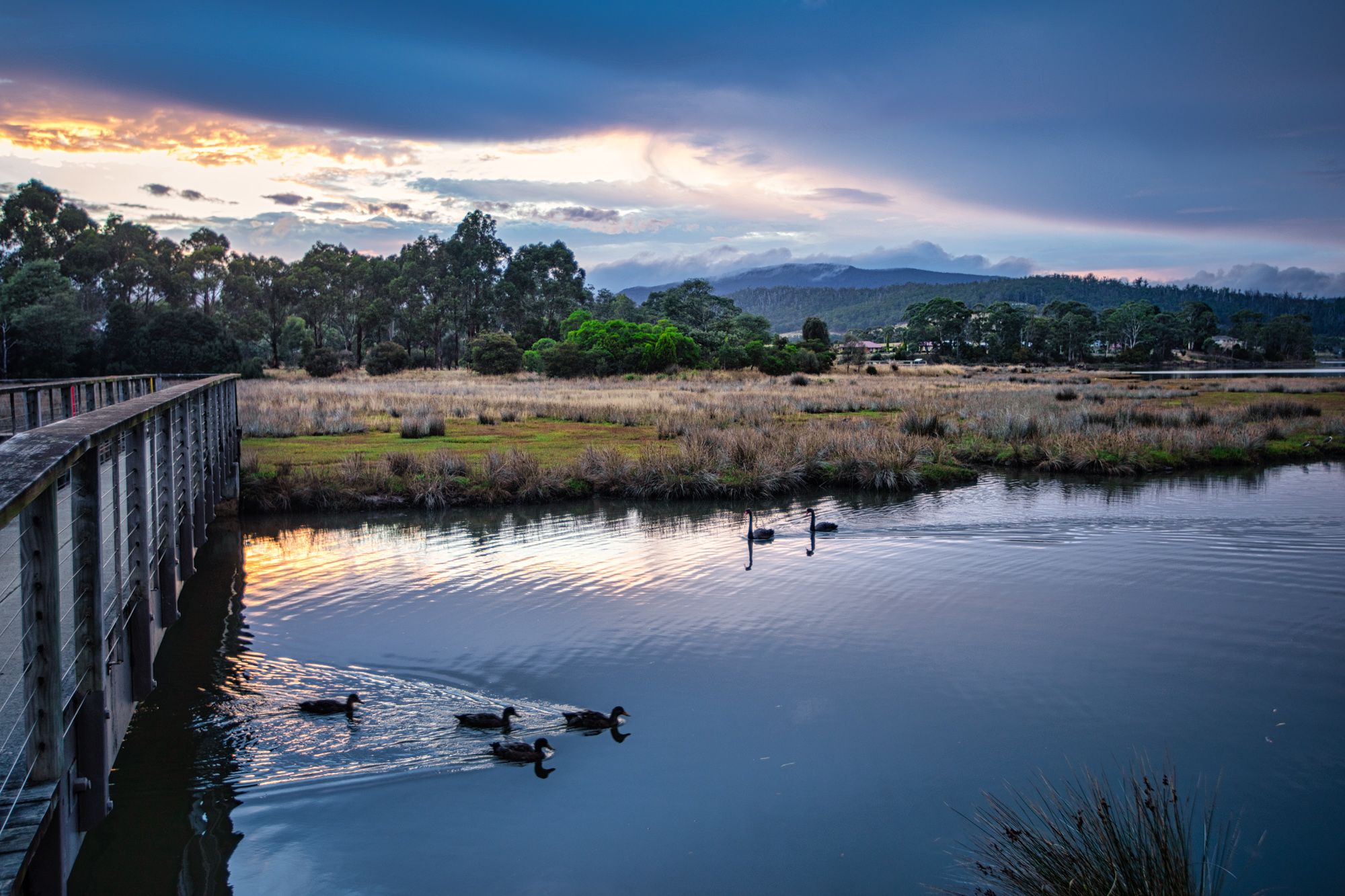 Foot bridge across Agnes Rivulet, Cygnet, Tasmania, Australia