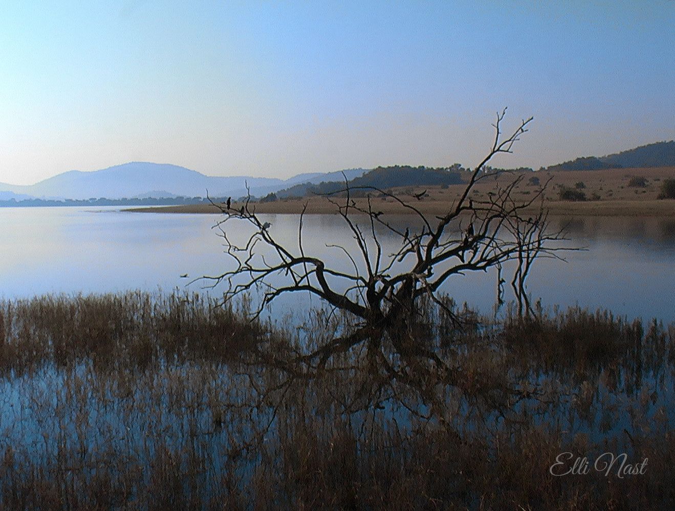Hide Mankwe Dam, South Africa