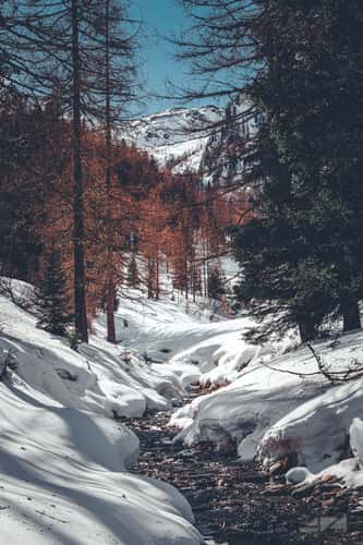 Innerhofer Alm