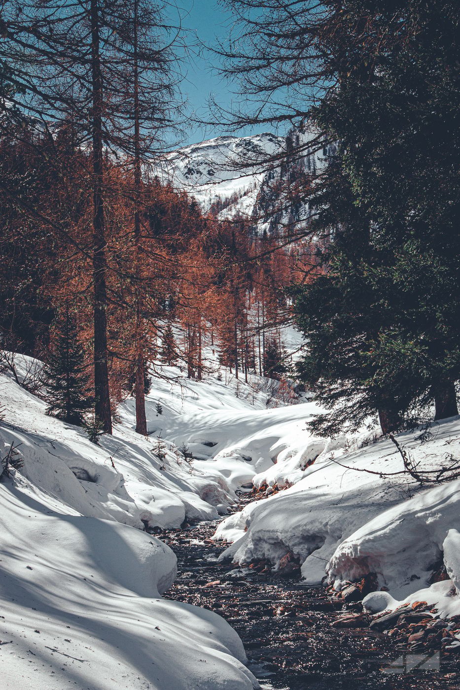 Innerhofer Alm, Italy