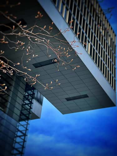 Kranhäuser from below, Cologne