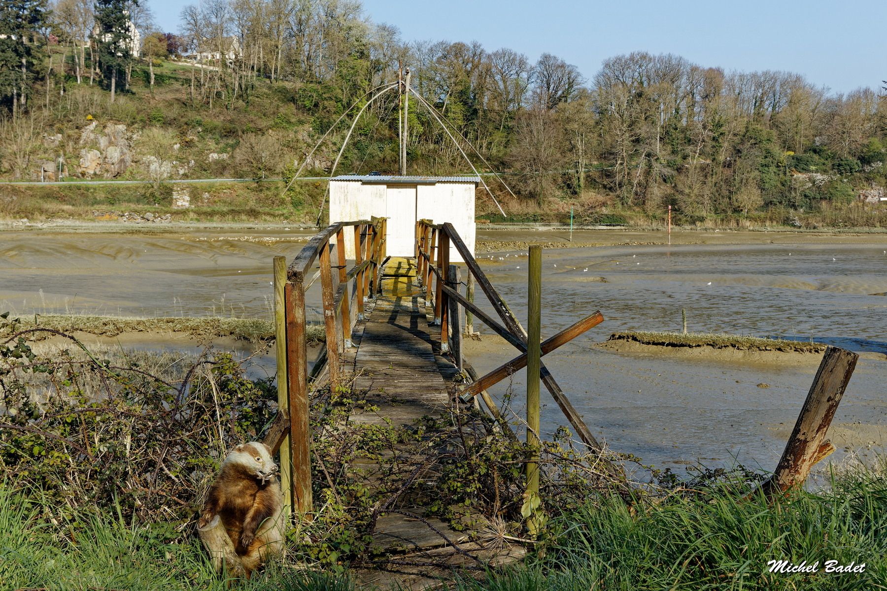 La Rance - Les cabanes à carrelets et the sheepwrecks, France