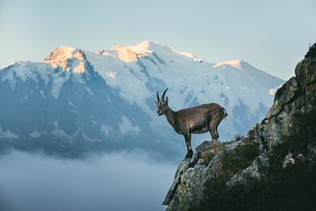 Lac de Chéserys, Chamonix