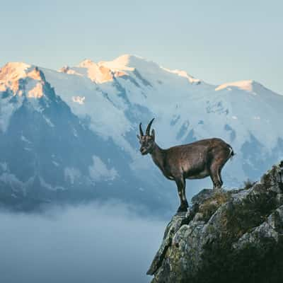 Lac de Chéserys, Chamonix, France