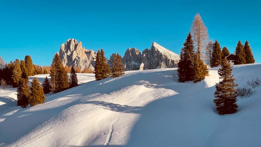 Late winter afternoon at Alpe di Siusi