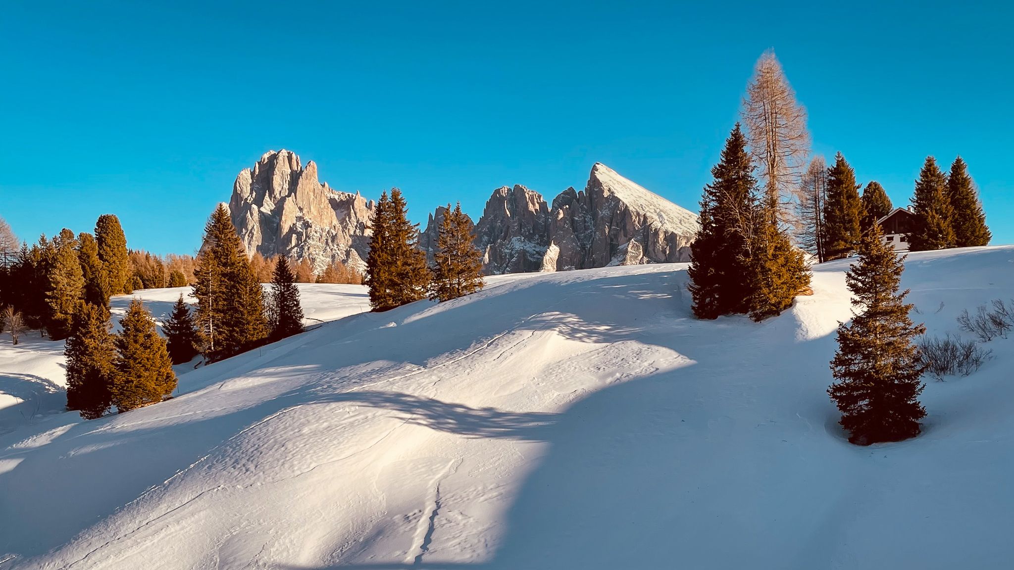 Late winter afternoon at Alpe di Siusi, Italy