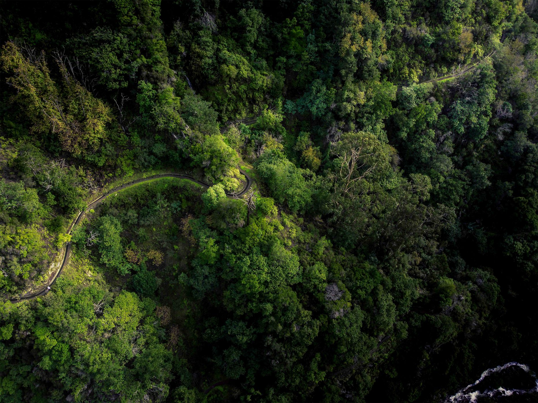 Levada Nova, Portugal