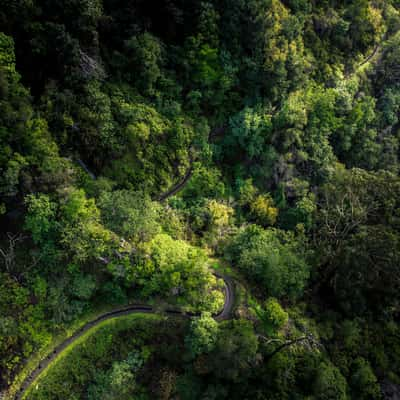 Levada Nova, Portugal