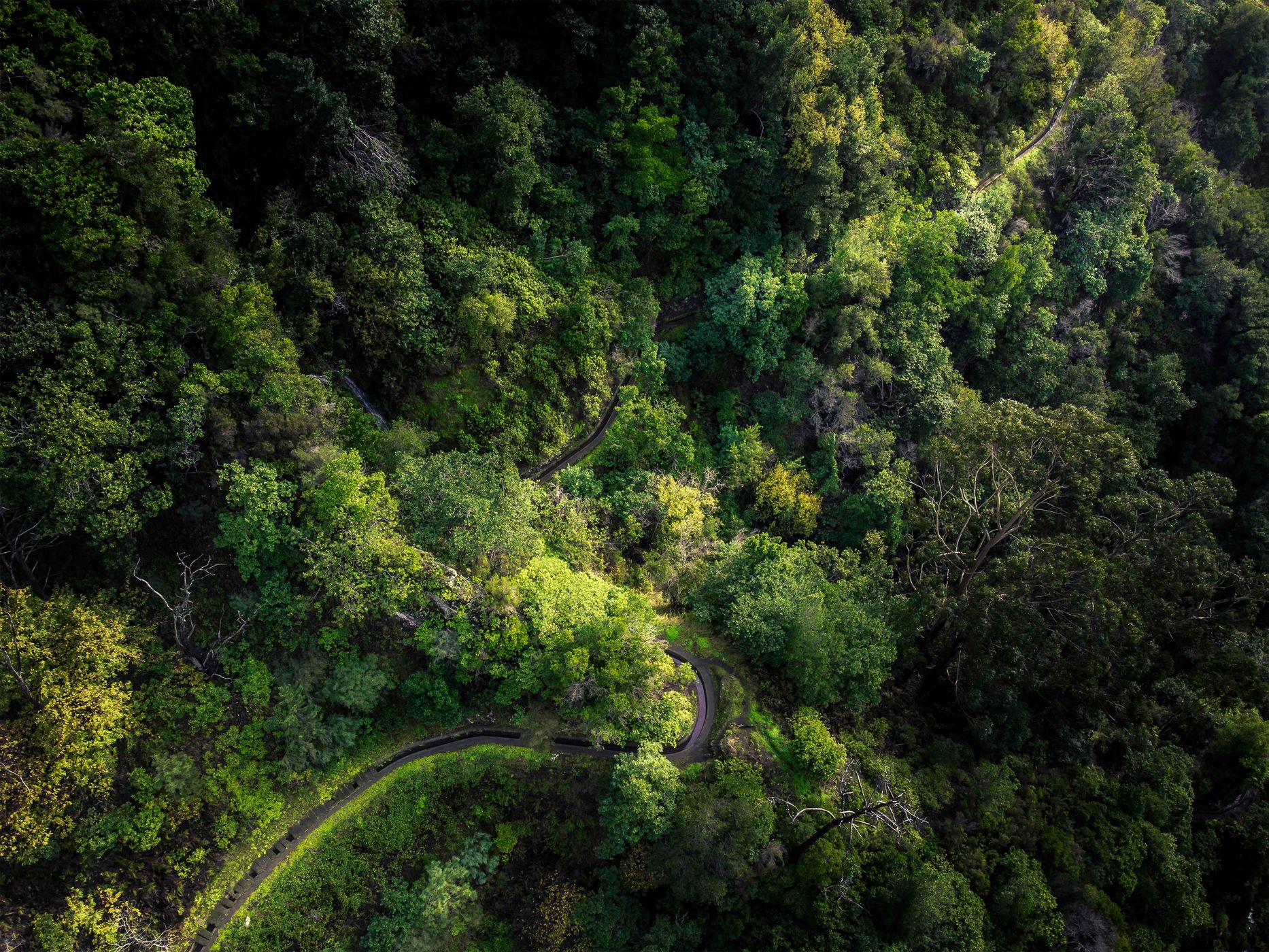 Levada Nova, Portugal