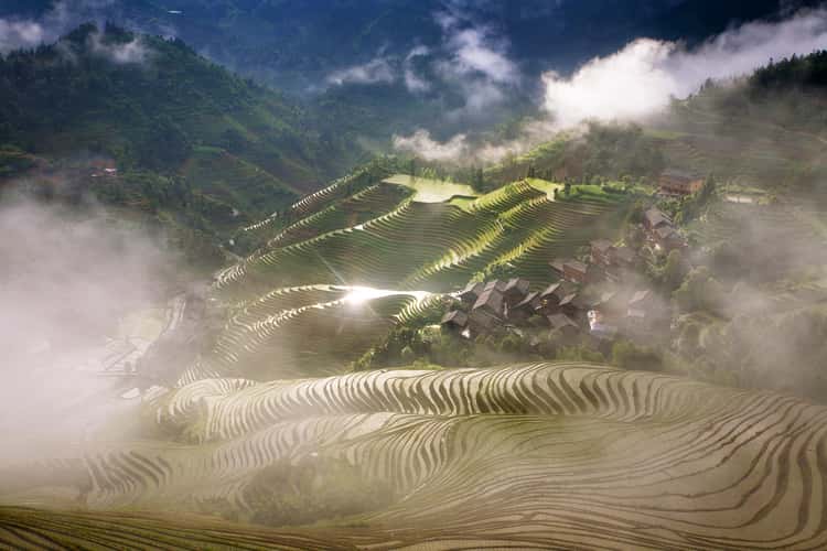 Longji Rice Terraces