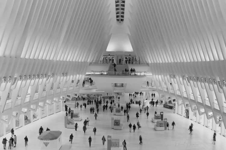 Oculus