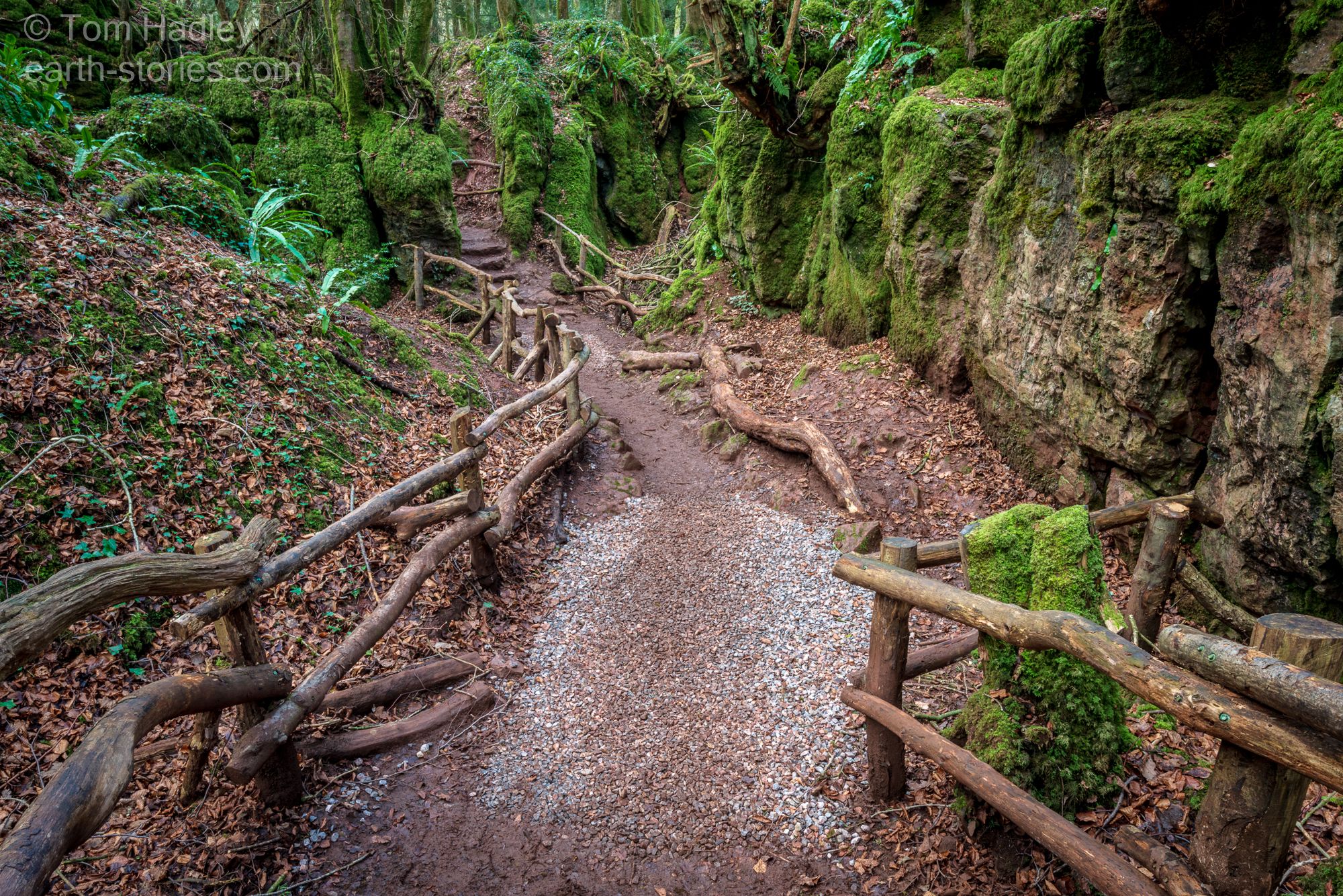Puzzlewood, United Kingdom