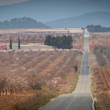 Road in Spain, Spain