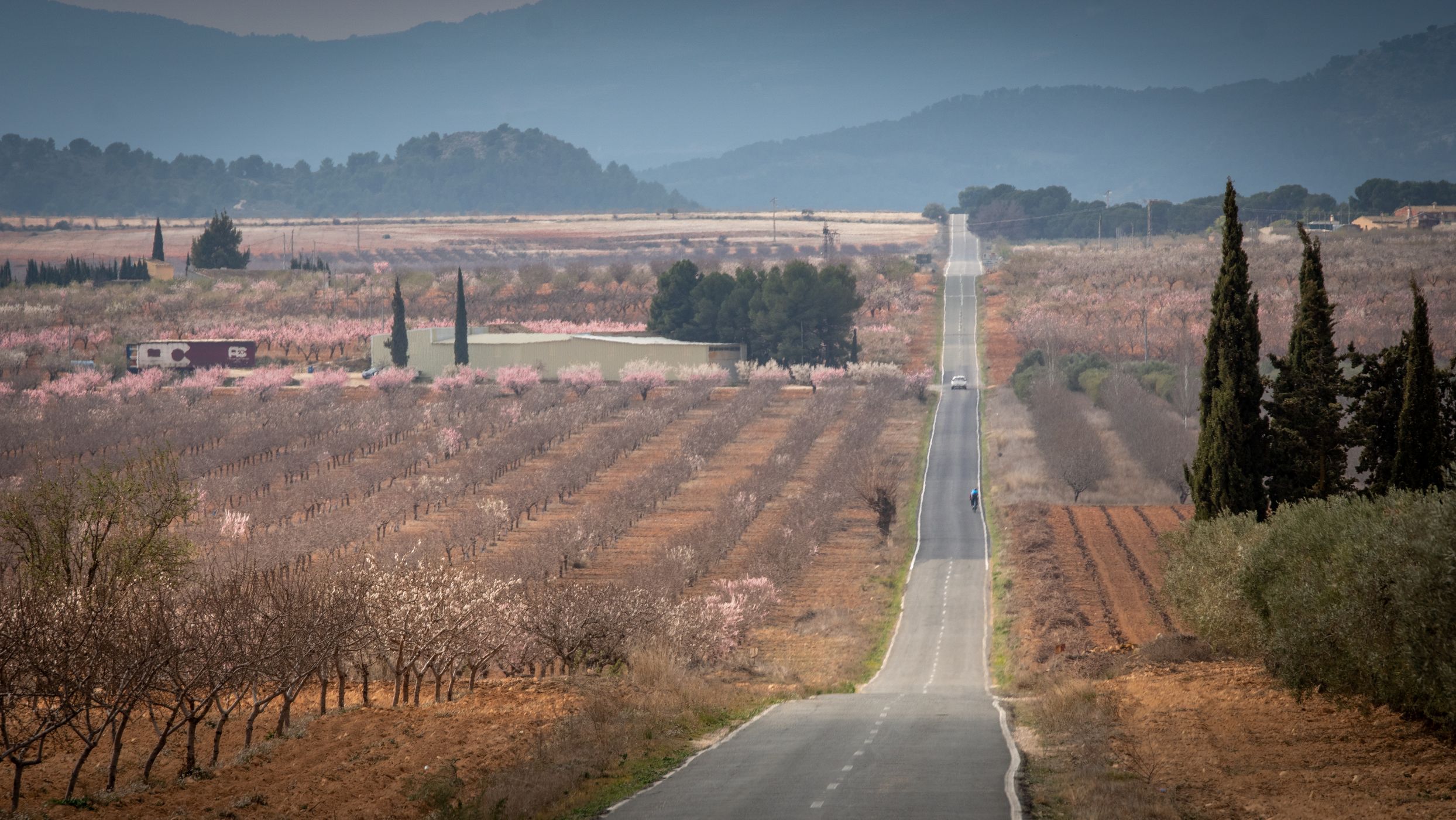 Road in Spain, Spain