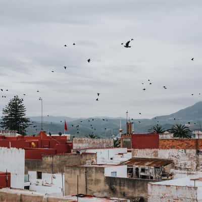 Rooftop view from Riad Tetuania, Tetouan, Morocco., Morocco