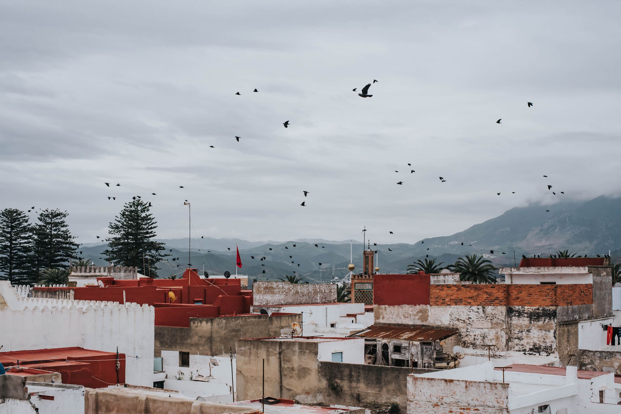 Rooftop view from Riad Tetuania, Tetouan, Morocco., Morocco