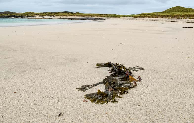 Sanna beach,