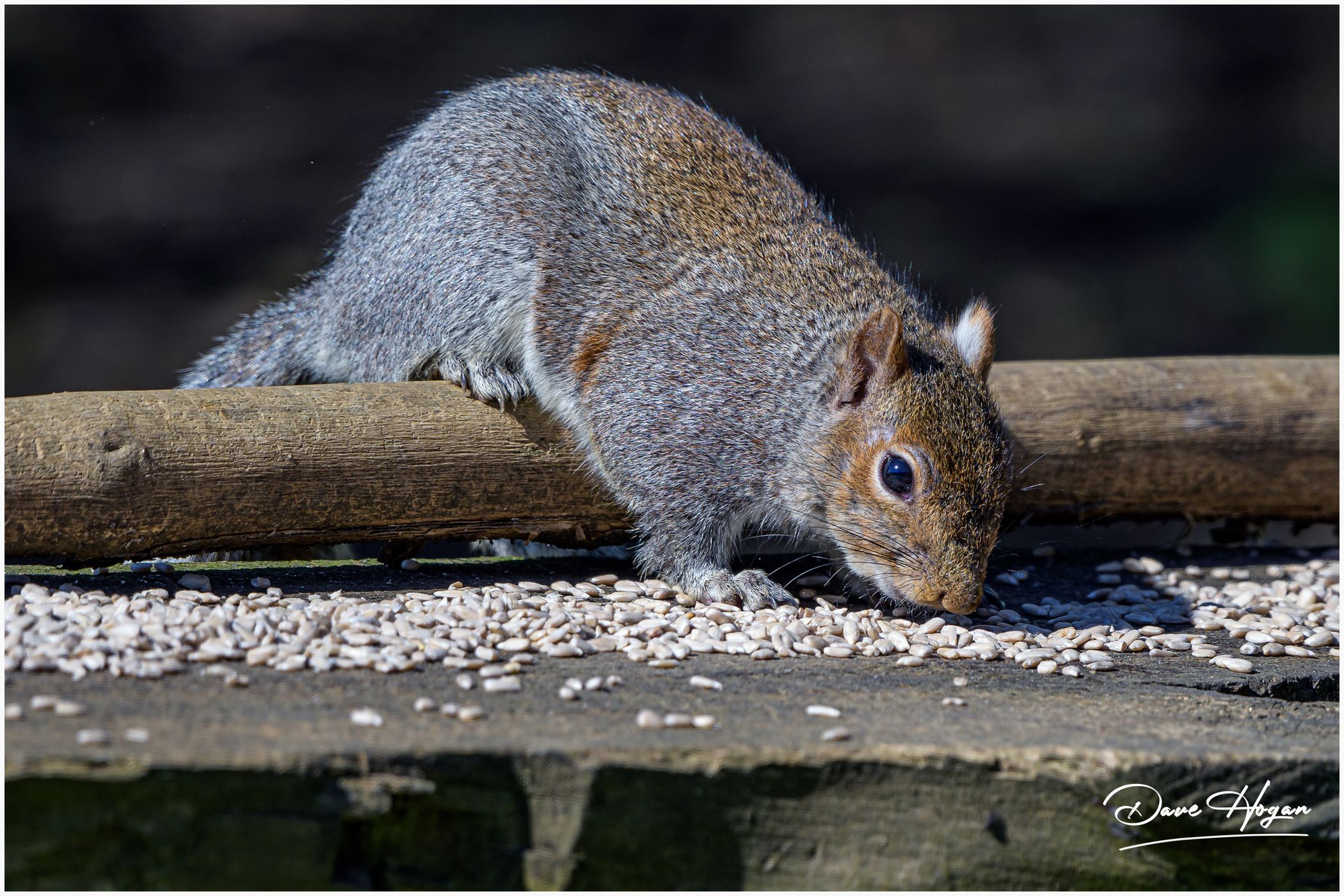 Summers Leys Nature Reserve, United Kingdom