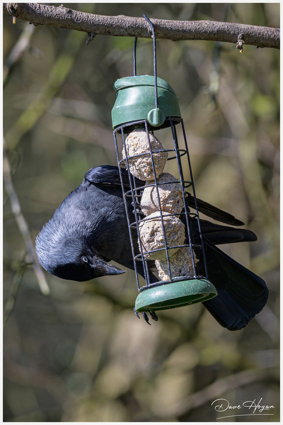 Summers Leys Nature Reserve, United Kingdom