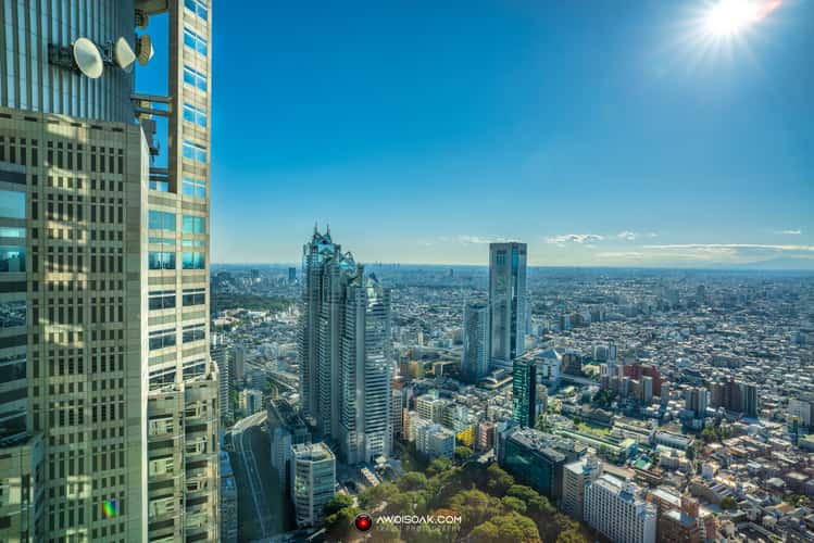 Tokyo metropolitan building