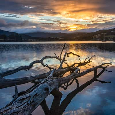 Two Trees Catos Bay, Cygnet, Tasmania, Australia