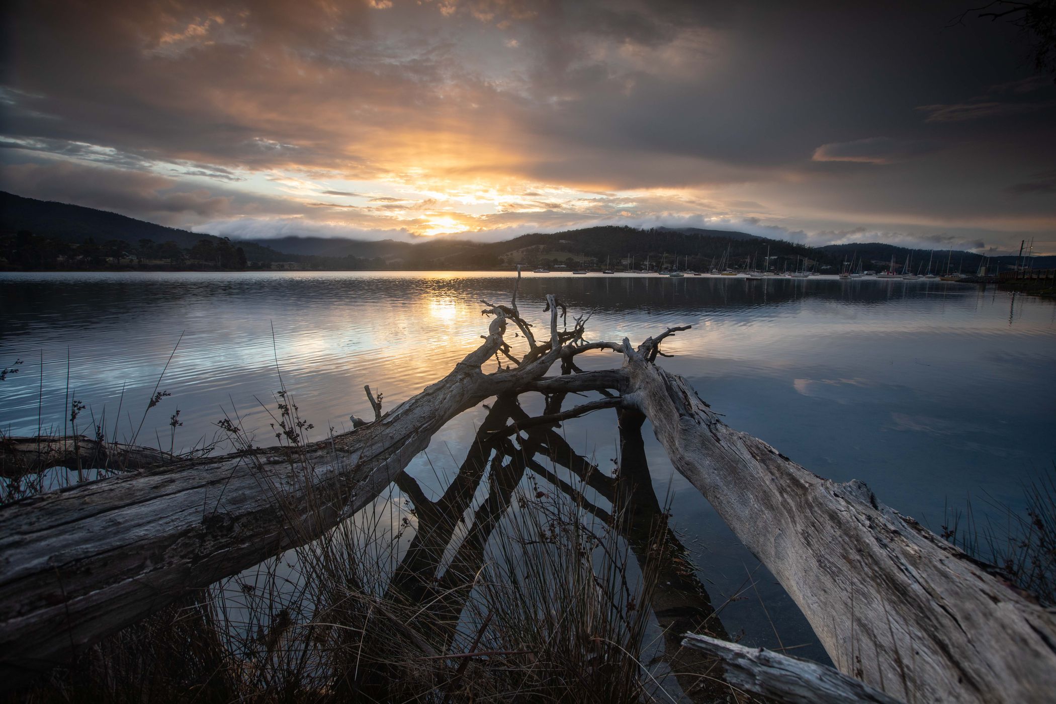 Two Trees Catos Bay, Cygnet, Tasmania, Australia
