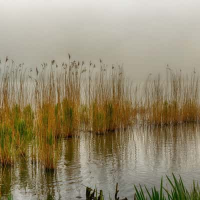 Between Rance and Countryside, France