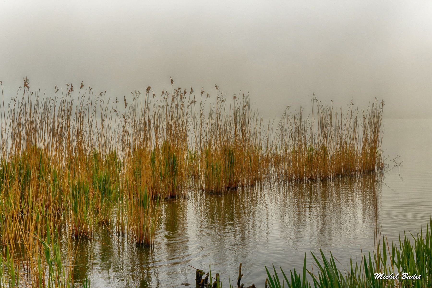 Between Rance and Countryside, France