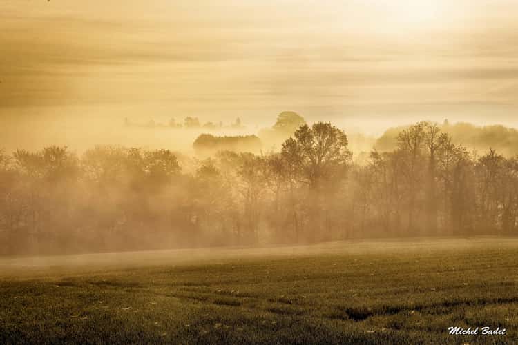 Between Rance and Countryside