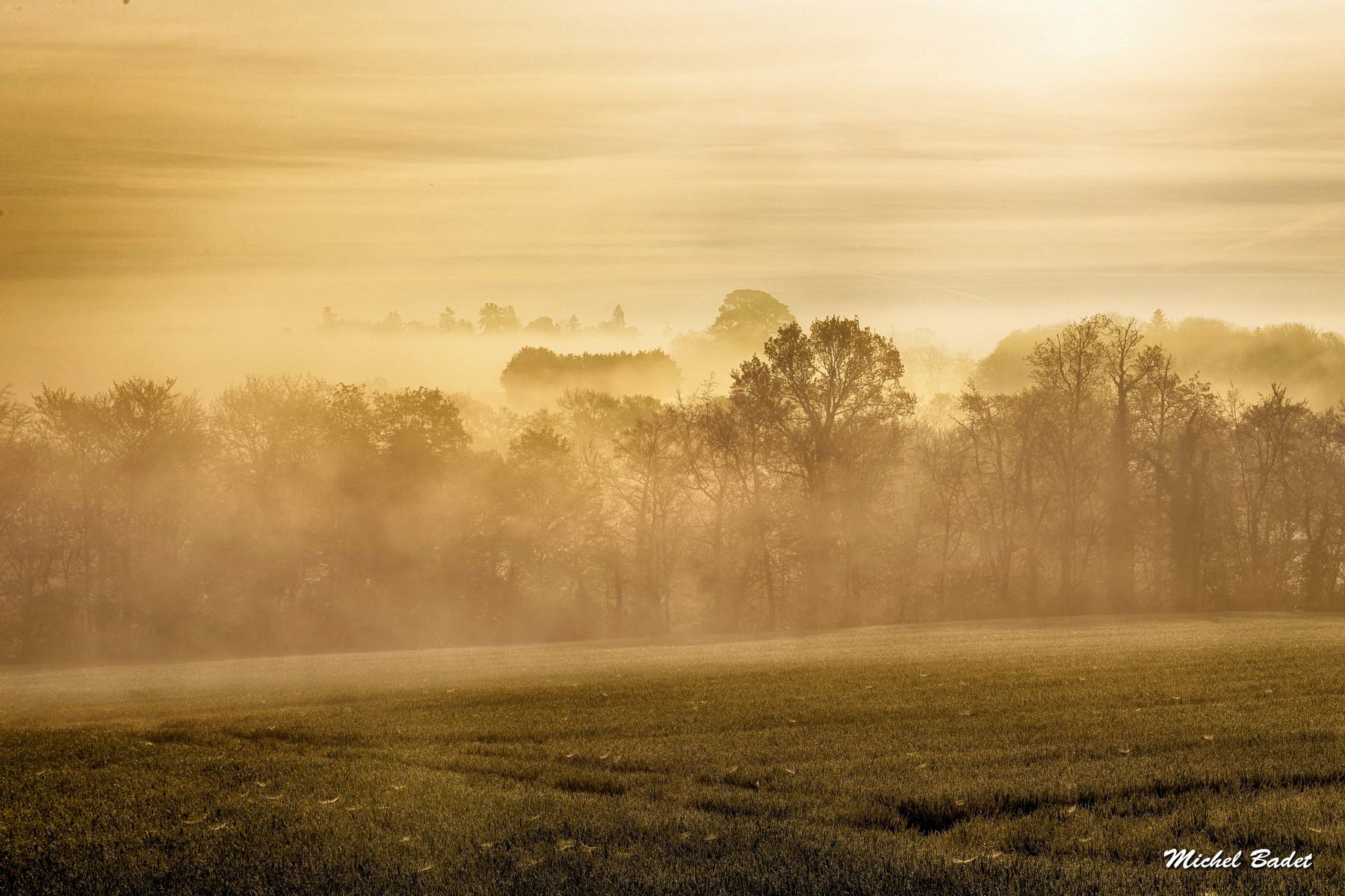 Between Rance and Countryside, France