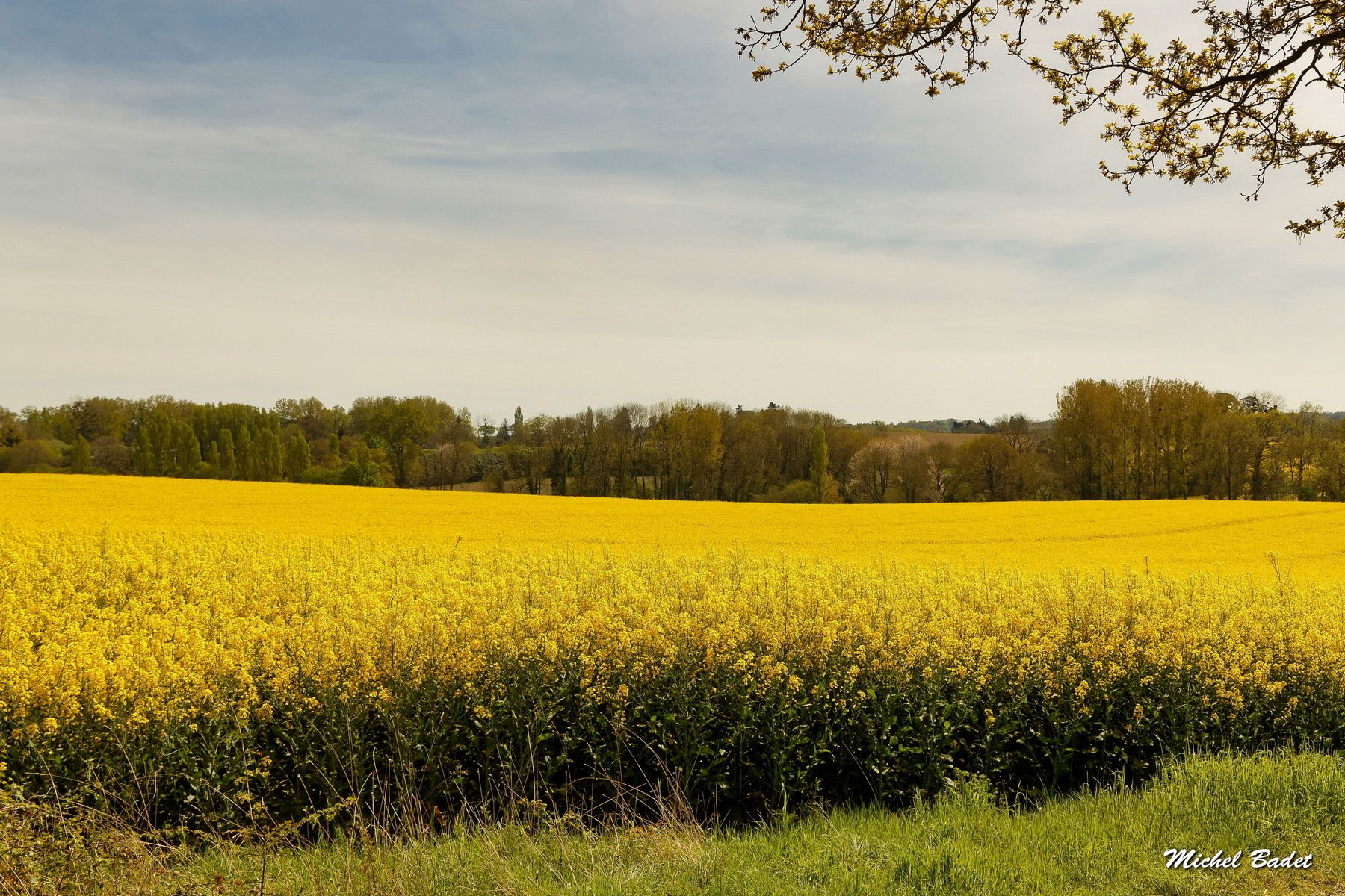 Between Rance and Countryside, France
