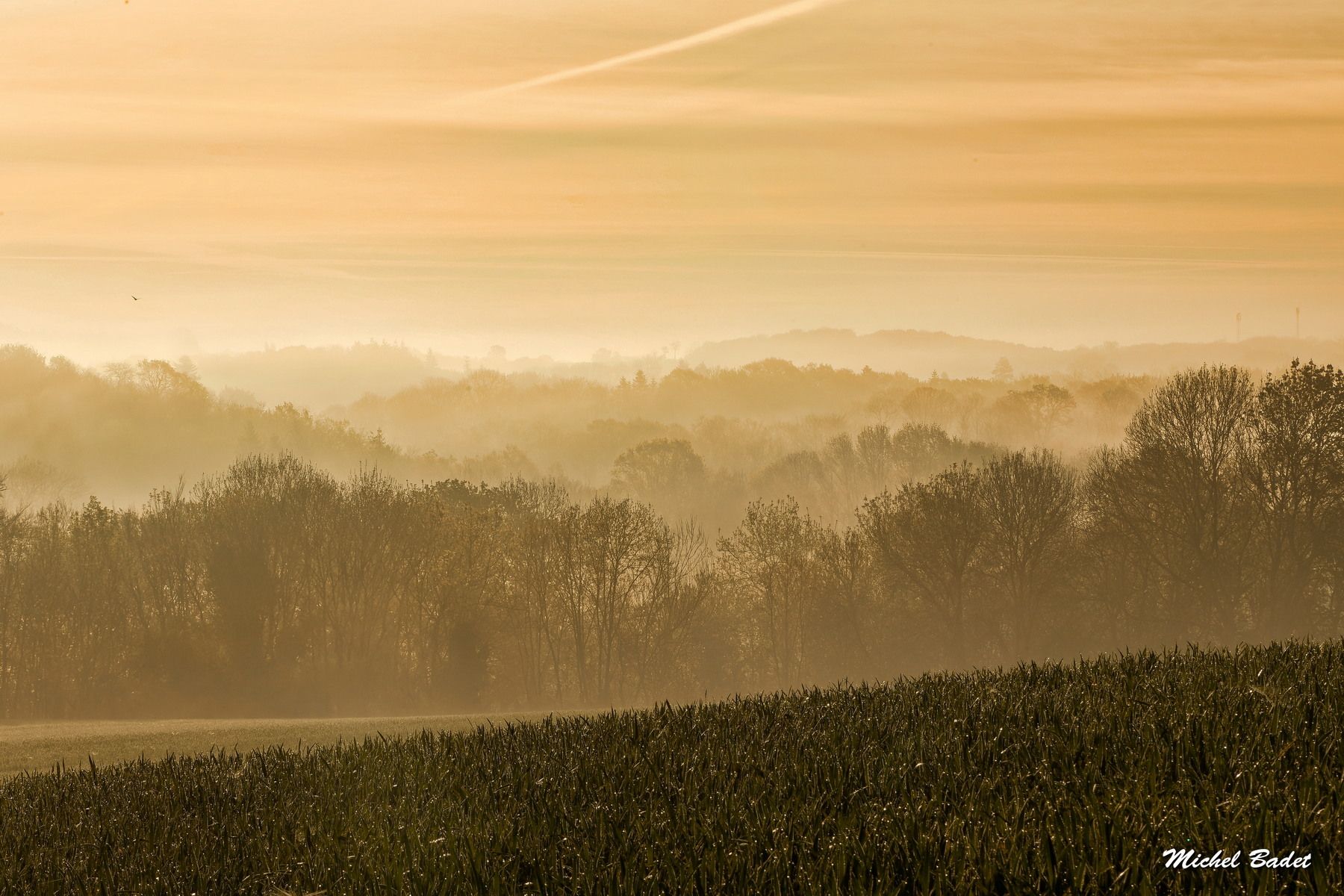 Between Rance and Countryside, France