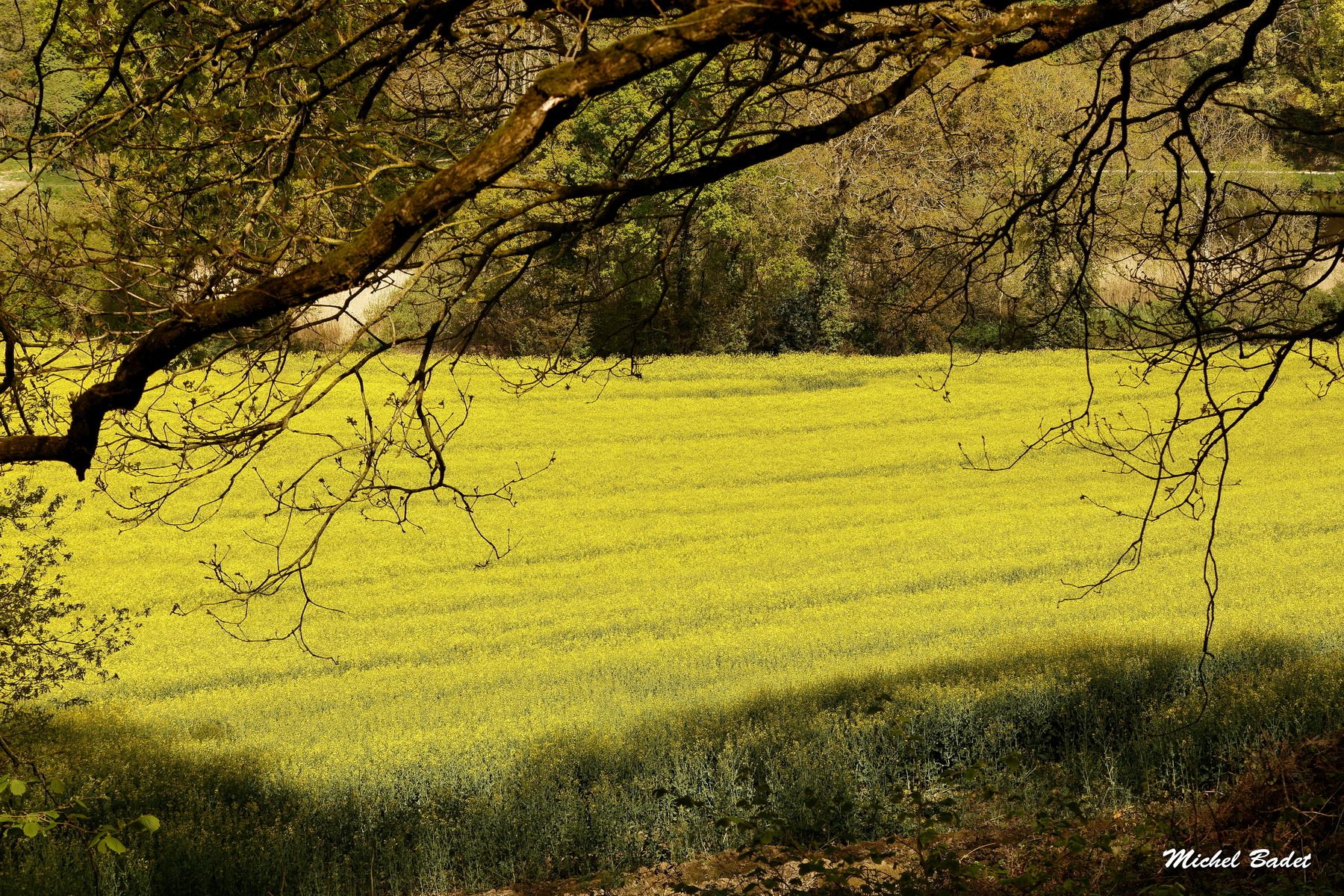 Between Rance and Countryside, France