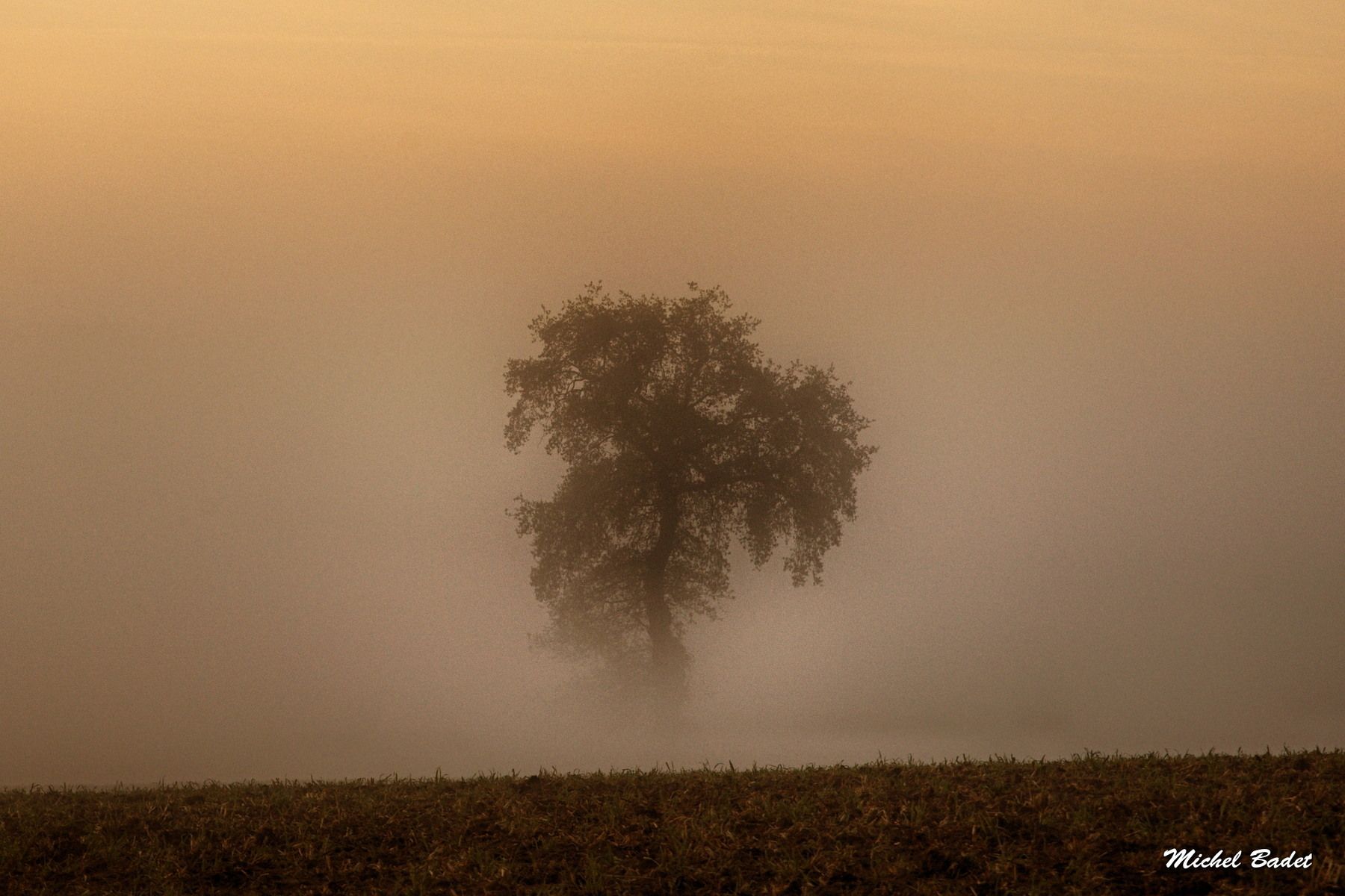 Between Rance and Countryside, France