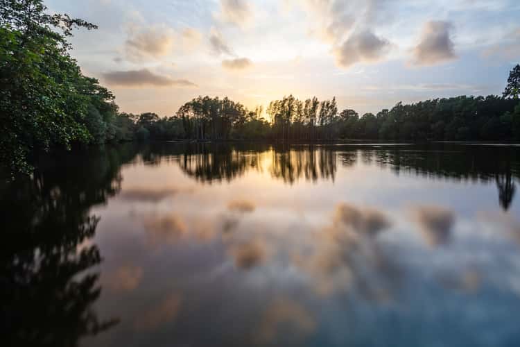Broad Water