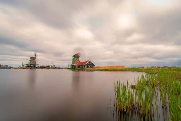 Cheese Farm De Haal at Zaanse Schans, Zaandam